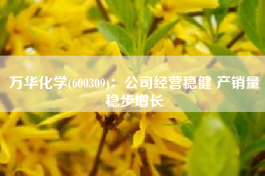 万华化学(600309)：公司经营稳健 产销量稳步增长