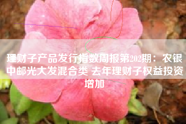 理财子产品发行指数周报第202期：农银中邮光大发混合类 去年理财子权益投资增加