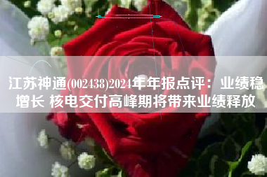 江苏神通(002438)2024年年报点评：业绩稳增长 核电交付高峰期将带来业绩释放