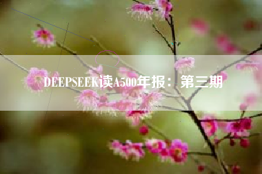 DEEPSEEK读A500年报：第三期