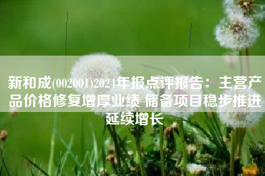 新和成(002001)2024年报点评报告：主营产品价格修复增厚业绩 储备项目稳步推进延续增长