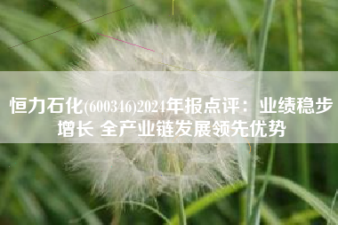 恒力石化(600346)2024年报点评：业绩稳步增长 全产业链发展领先优势