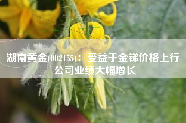 湖南黄金(002155)：受益于金锑价格上行 公司业绩大幅增长