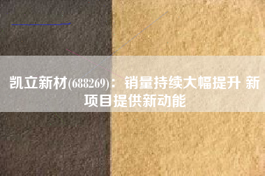 凯立新材(688269)：销量持续大幅提升 新项目提供新动能