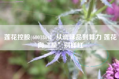 莲花控股(600186)：从调味品到算力 莲花向“星”别样红