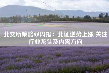 北交所策略双周报：北证逆势上涨 关注行业龙头及内需方向