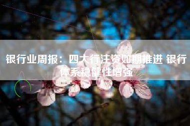 银行业周报：四大行注资如期推进 银行体系稳健性增强