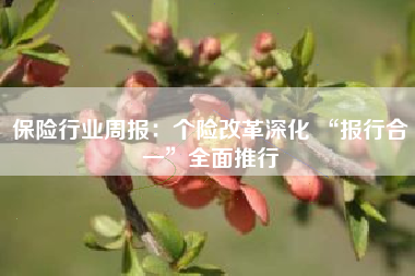 保险行业周报：个险改革深化 “报行合一”全面推行