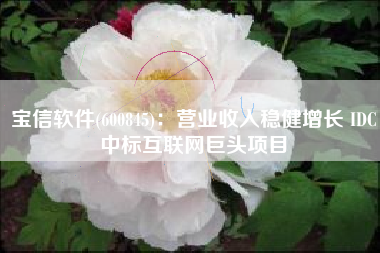 宝信软件(600845)：营业收入稳健增长 IDC中标互联网巨头项目