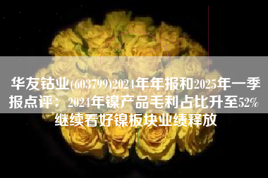 华友钴业(603799)2024年年报和2025年一季报点评：2024年镍产品毛利占比升至52% 继续看好镍板块业绩释放