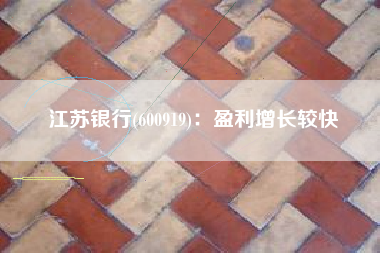 江苏银行(600919)：盈利增长较快