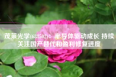 茂莱光学(688502)：半导体驱动成长 持续关注国产替代和盈利修复进度