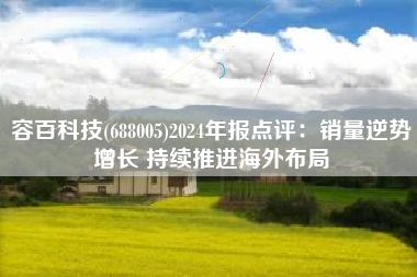 容百科技(688005)2024年报点评：销量逆势增长 持续推进海外布局