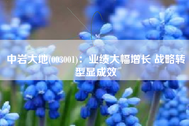 中岩大地(003001)：业绩大幅增长 战略转型显成效