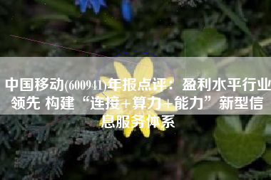 中国移动(600941)年报点评：盈利水平行业领先 构建“连接+算力+能力”新型信息服务体系