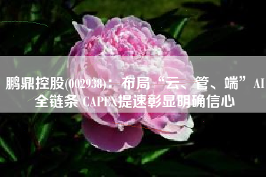 鹏鼎控股(002938)：布局“云、管、端”AI全链条 CAPEX提速彰显明确信心