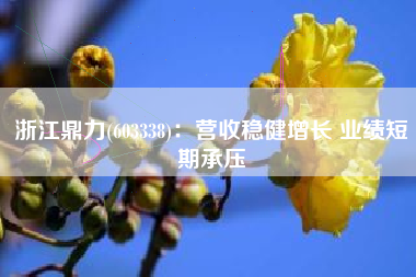 浙江鼎力(603338)：营收稳健增长 业绩短期承压