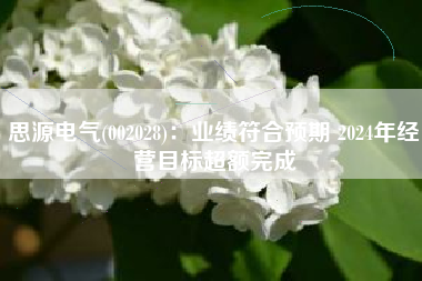 思源电气(002028)：业绩符合预期 2024年经营目标超额完成