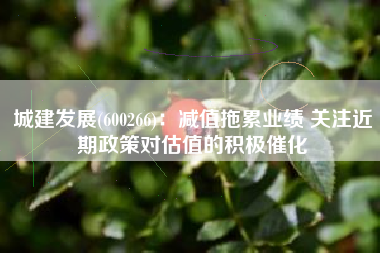 城建发展(600266)：减值拖累业绩 关注近期政策对估值的积极催化