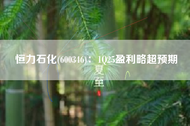 恒力石化(600346)：1Q25盈利略超预期