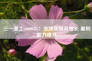 三一重工(600031)：业绩实现高增长 盈利能力提升