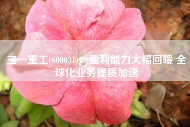 三一重工(600031)：盈利能力大幅回暖 全球化业务提质加速