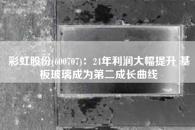 彩虹股份(600707)：24年利润大幅提升 基板玻璃成为第二成长曲线