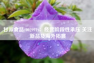 甘源食品(002991)：经营阶段性承压 关注新品及海外拓展
