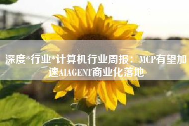 深度*行业*计算机行业周报：MCP有望加速AIAGENT商业化落地