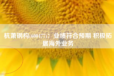 杭萧钢构(600477)：业绩符合预期 积极拓展海外业务
