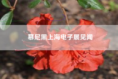 慕尼黑上海电子展见闻