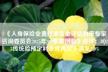 《人身保险业责任准备金评估利率专家咨询委员会2025年一季度例会》点评：3Q25传统险预定利率或再次下调至2.0%