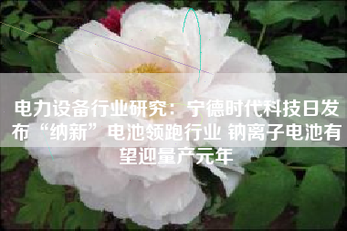 电力设备行业研究：宁德时代科技日发布“纳新”电池领跑行业 钠离子电池有望迎量产元年
