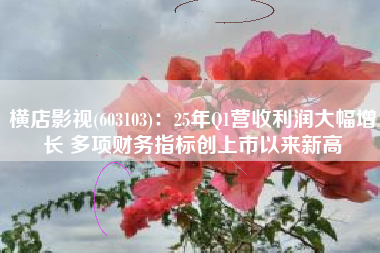 横店影视(603103)：25年Q1营收利润大幅增长 多项财务指标创上市以来新高