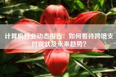 计算机行业动态报告:如何看待跨境支付现状及未来趋势? 计算机行业动态报告:如何看待跨境支付现状及未来趋势?