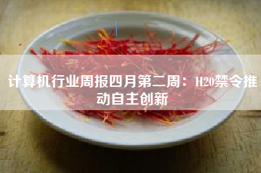 计算机行业周报四月第二周：H20禁令推动自主创新