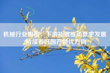 机械行业周报：下游拓展推动低空发展 持续看好国产替代方向