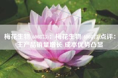 梅花生物(600873)：梅花生物(600873)点评：主产品销量增长 成本优势凸显