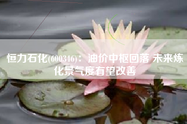 恒力石化(600346)：油价中枢回落 未来炼化景气度有望改善