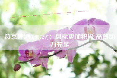 燕京啤酒(000729)：目标更加积极 高增动力充足