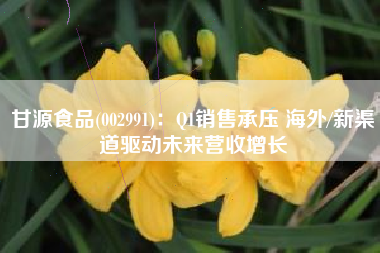 甘源食品(002991)：Q1销售承压 海外/新渠道驱动未来营收增长
