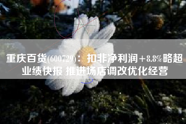 重庆百货(600729)：扣非净利润+8.8%略超业绩快报 推进场店调改优化经营