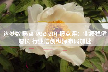 达梦数据(688692)2024年报点评：业绩稳健增长 行业信创纵深布局加速