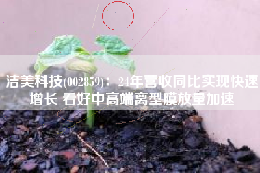 洁美科技(002859)：24年营收同比实现快速增长 看好中高端离型膜放量加速