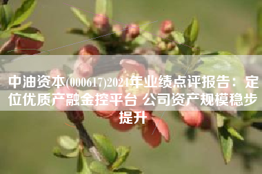 中油资本(000617)2024年业绩点评报告：定位优质产融金控平台 公司资产规模稳步提升