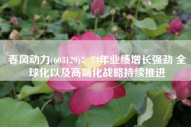 春风动力(603129)：24年业绩增长强劲 全球化以及高端化战略持续推进