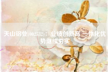 天山铝业(002532)：业绩创新高 一体化优势继续夯实