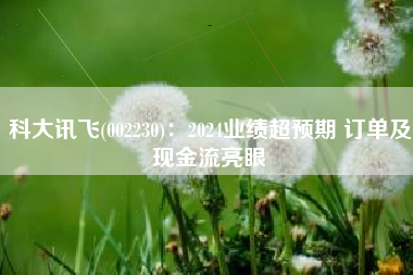 科大讯飞(002230)：2024业绩超预期 订单及现金流亮眼