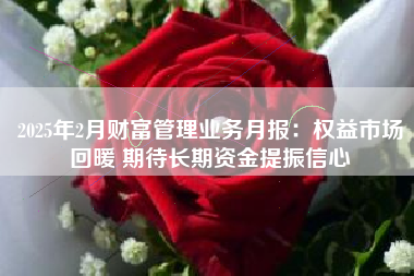 2025年2月财富管理业务月报：权益市场回暖 期待长期资金提振信心