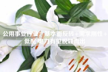 公用事业行业：基本面反转+需求刚性+低配 电力有望脱颖而出